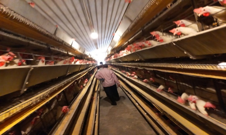 محافظ المنوفية: تطهير ما يقرب من 515 كم مساقى خصوصية