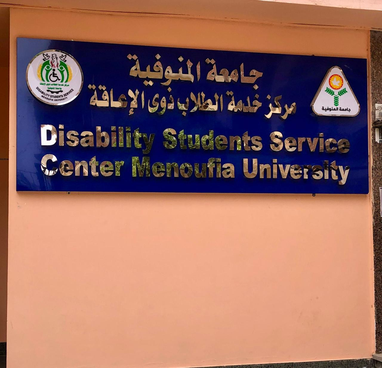 القومي للاعاقة