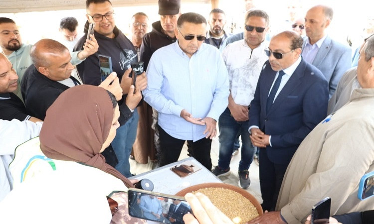 محافظ القليوبية: توريد 45 طن قمح حتى أمس، وصرف المستحقات خلال 48 ساعة