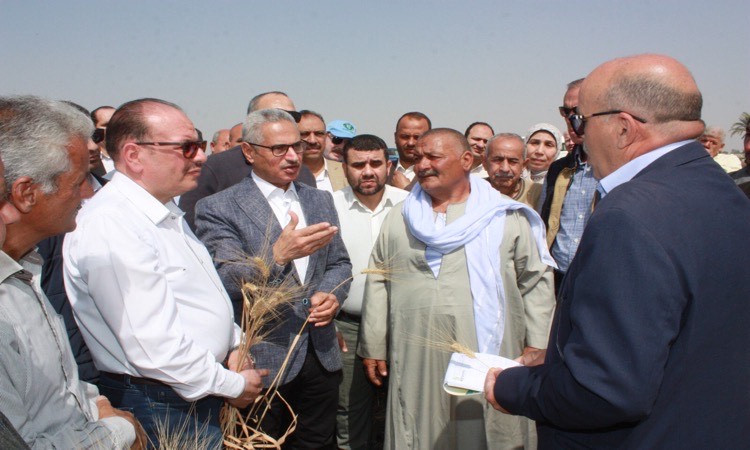 محافظ بني سويف يشهد انطلاق موسم حصاد القمح بقرية 