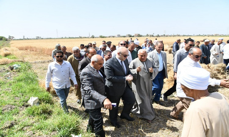 محافظ الفيوم يفتتح موسم حصاد القمح بأحد الحقول الزراعية&nbsp;بقصر رشوان