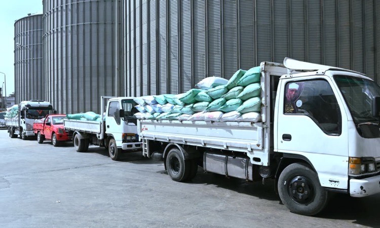 محافظ البحيرة: متابعة يومية لمنظومة توريد القمح وتيسيرات مستمرة للمزار