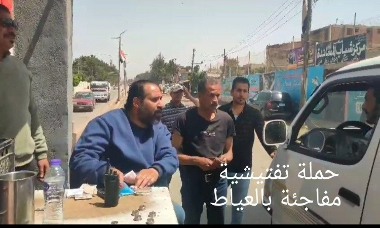 الجيزة تضبط 1739 مخالفة خلال 55 حملة مكثفة على سيارات السرفيس