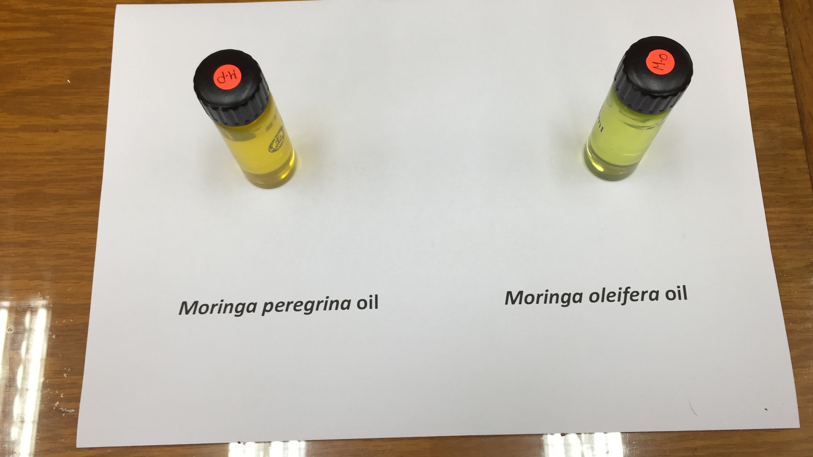 قومي البحوث