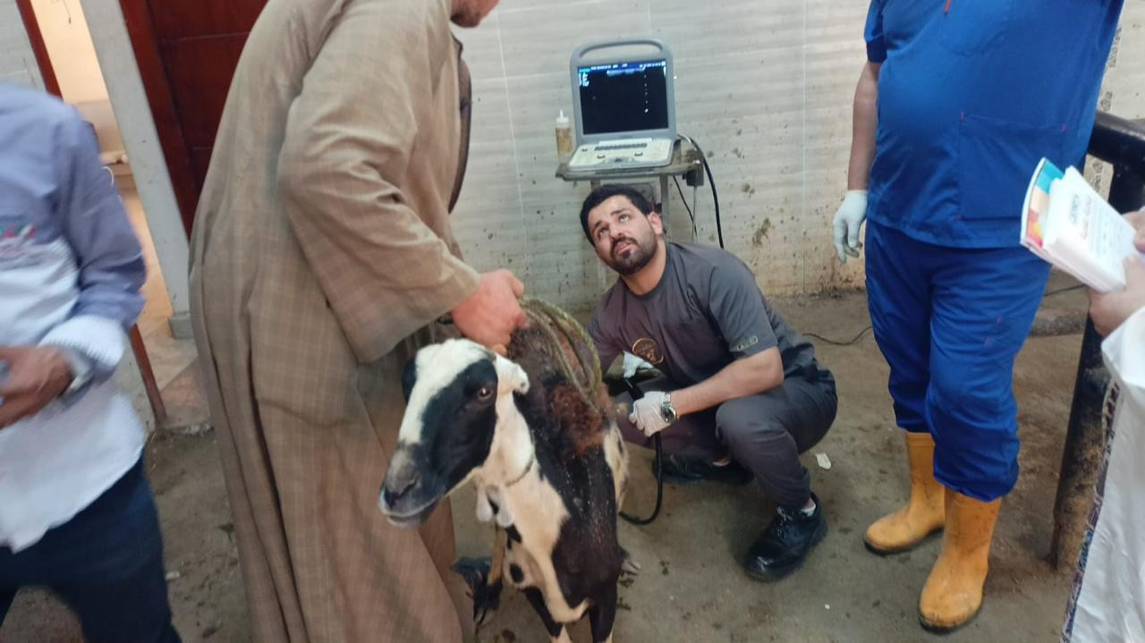 وتأتي هذه القوافل تنفيذًا لتوجيهات علاء فاروق، وزير الزراعة واستصلاح ا