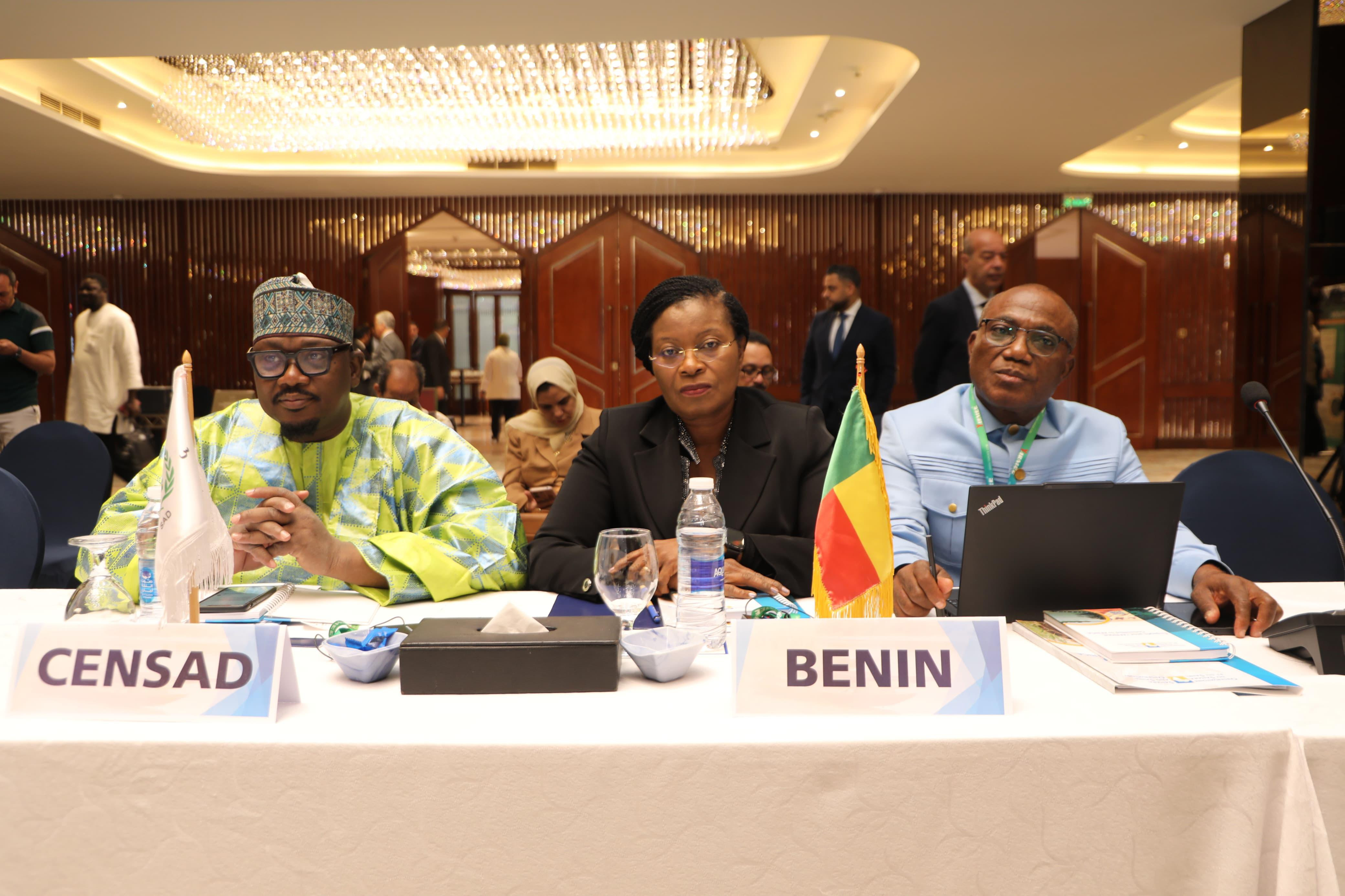 اجتماعات الصحراء والساحل