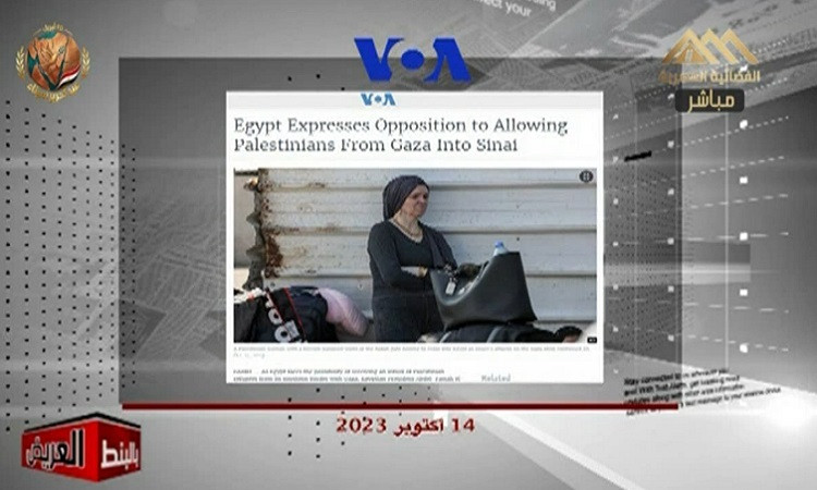 بالبنط العريض