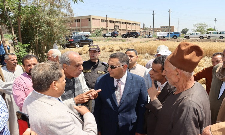 محافظ القليوبية يتفقد موسم حصاد القمح بمدينة قها