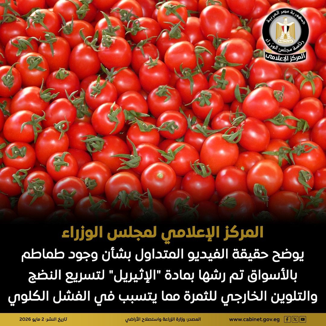 رش الطماطم