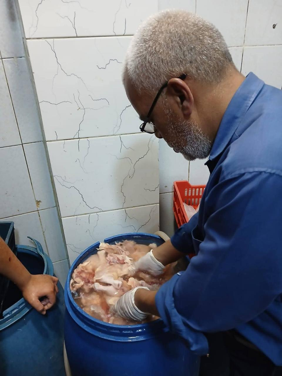 الزراعة
