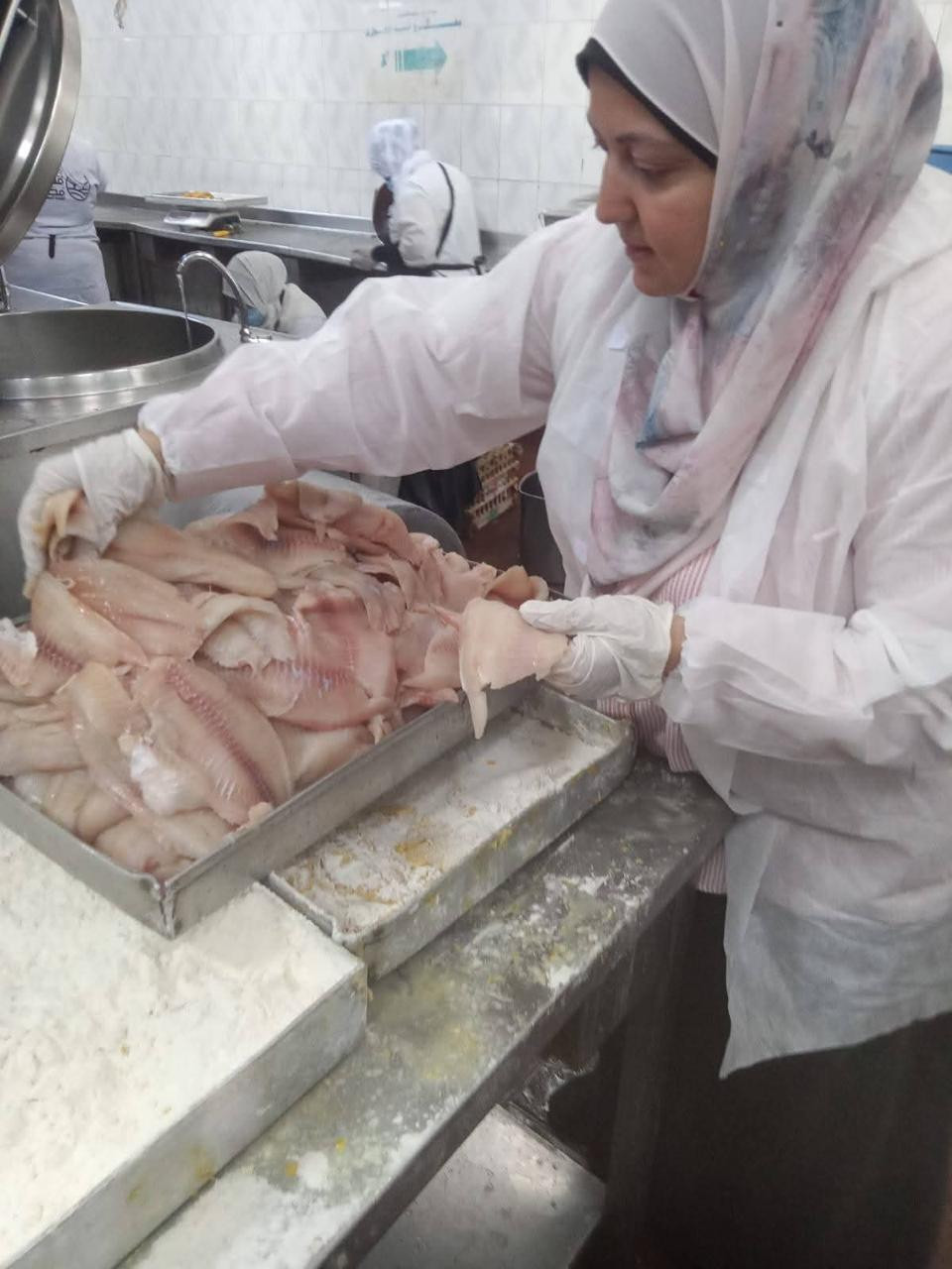 الزراعة