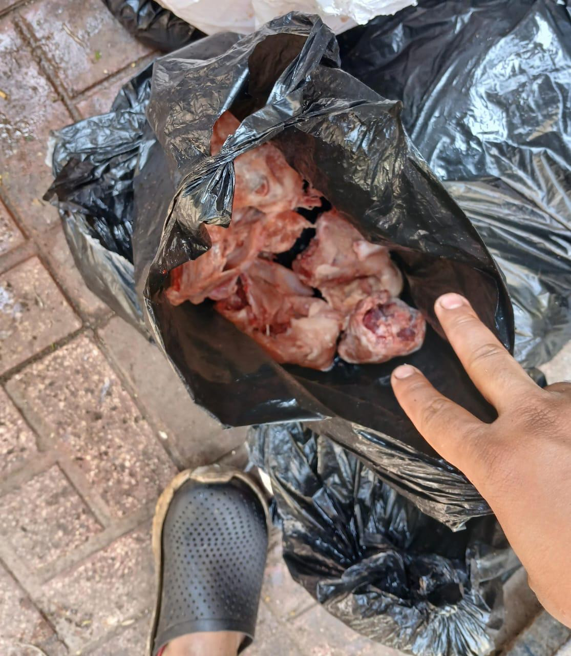 الزراعة