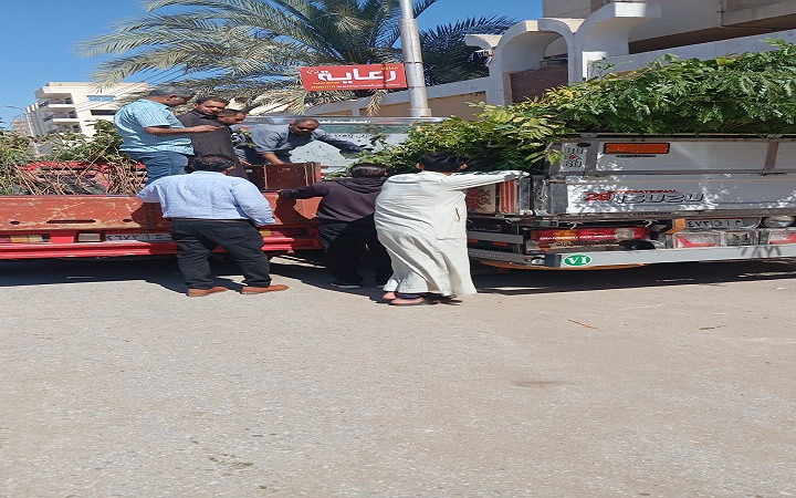 محافظة الفيوم