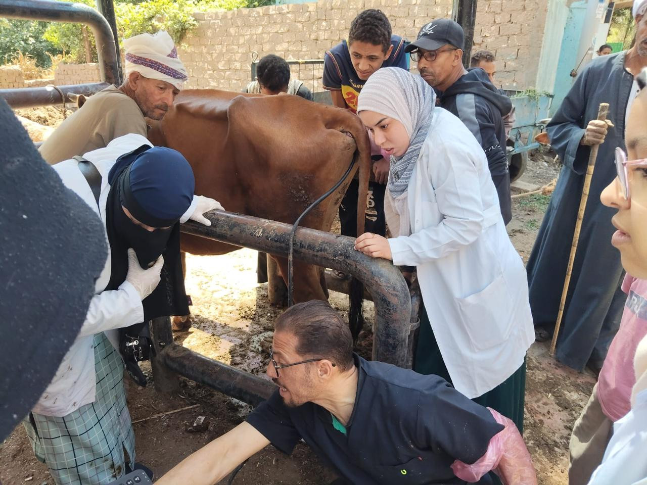 وزارة الزراعة قوافل بيطرية
