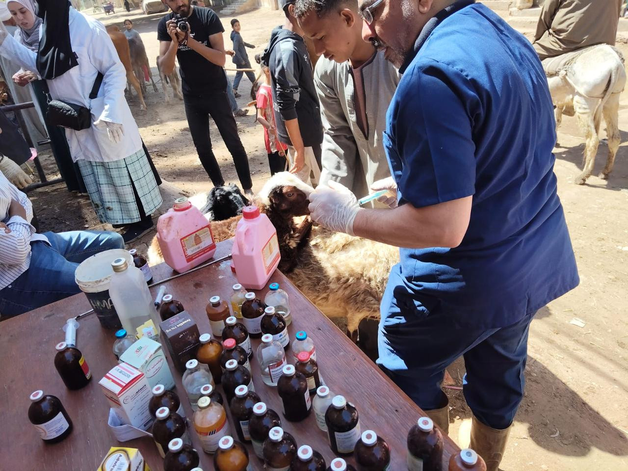 وزارة الزراعة قوافل بيطرية