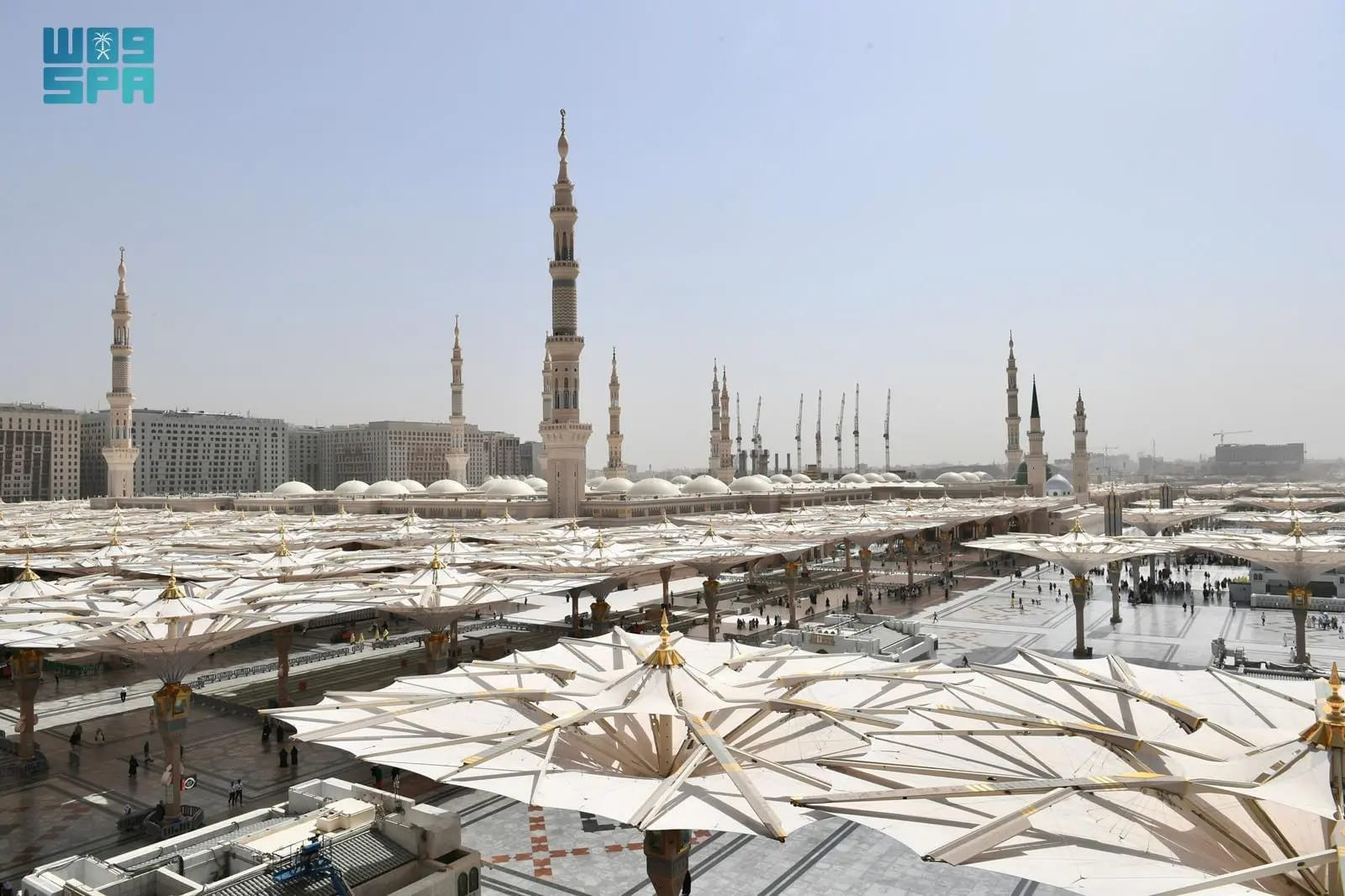 وافد الحجاج إلى المسجد النبوي