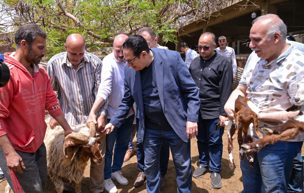 الجامعة