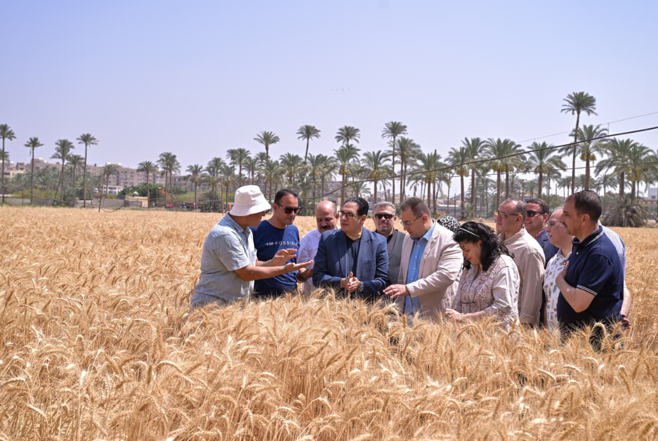 الجامعة