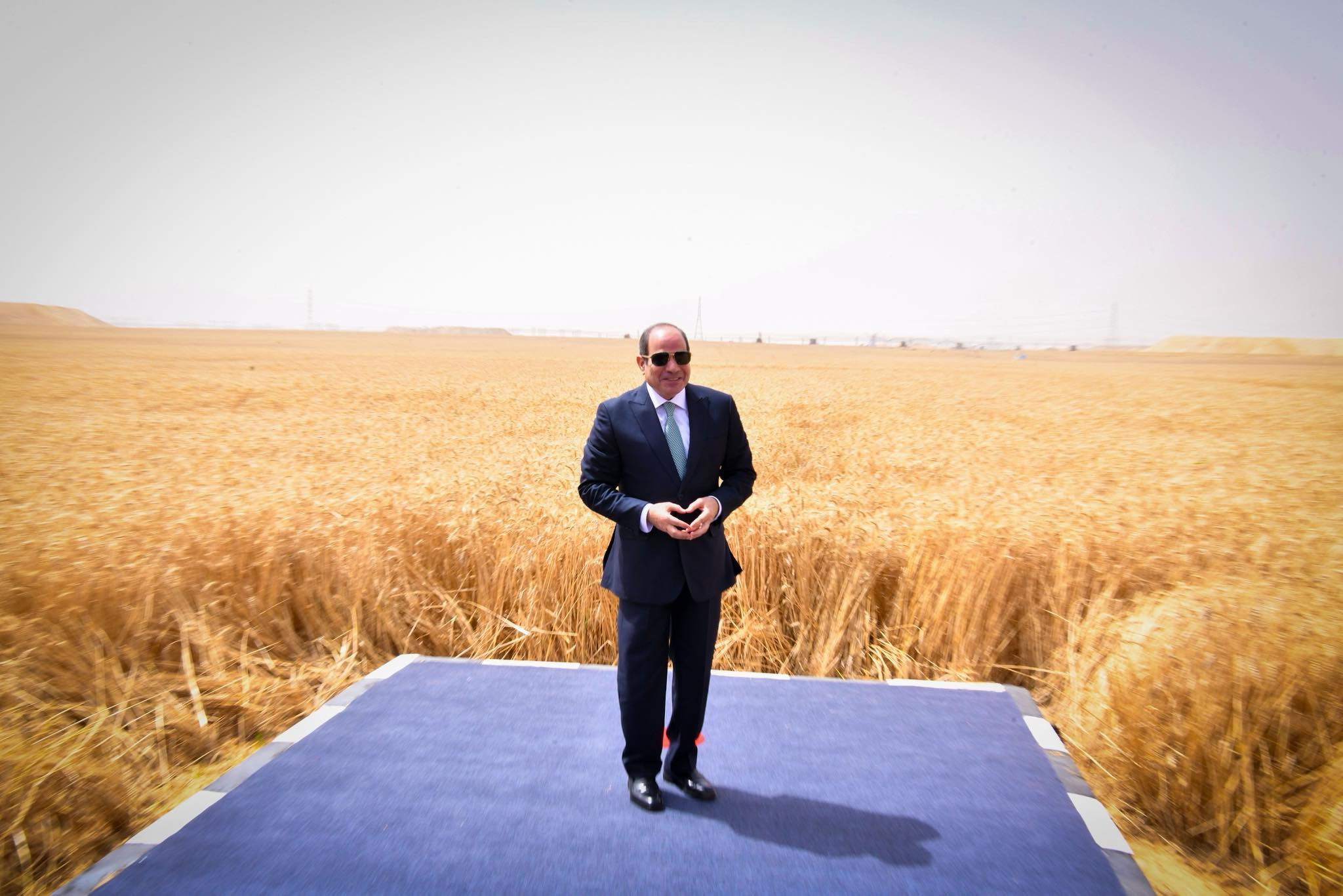 السيسي