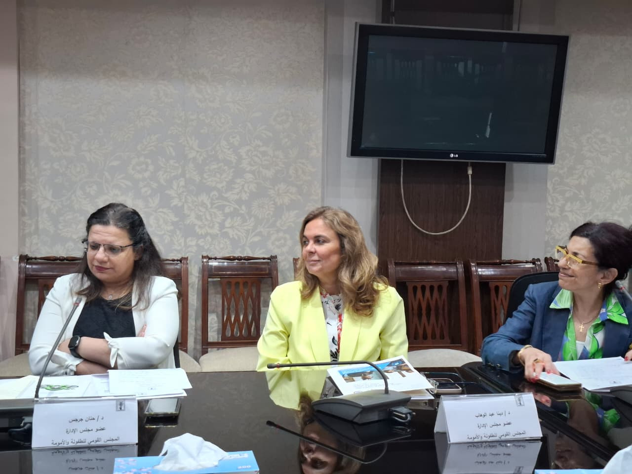 المجلس القومي للطفولة والأمومة