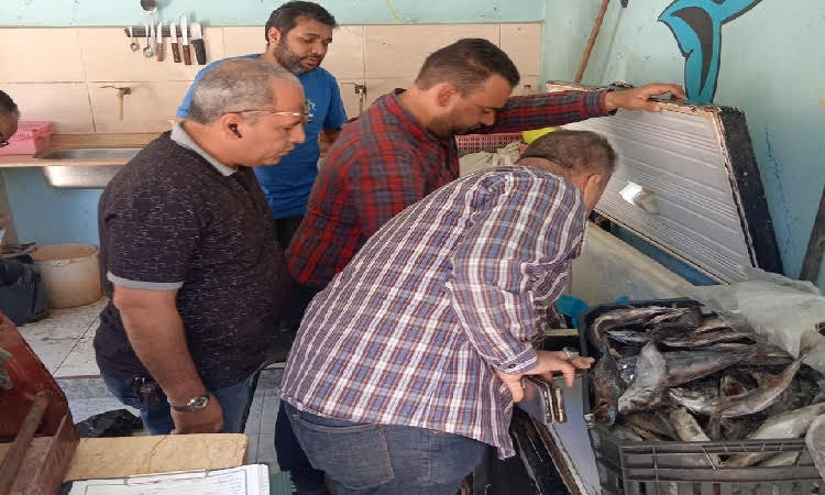 ضبط طن من اللحوم والدواجن والأسماك غير الصالحة ومجهولة المصدر بالغربية