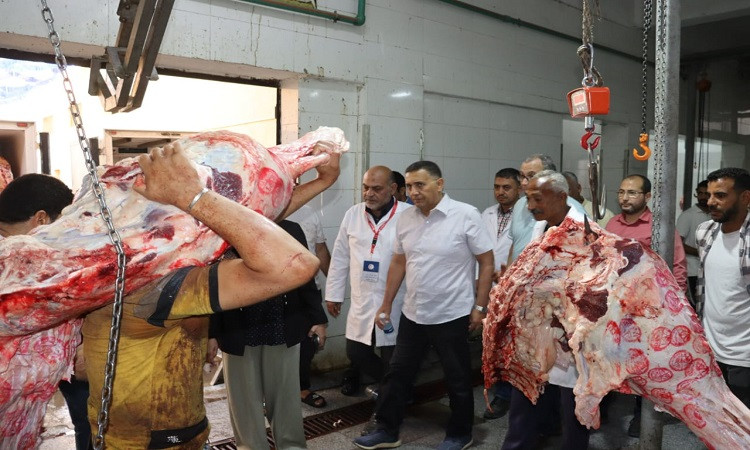محافظ القليوبية يتفقد مجزر حي غرب شبرا الخيمة للوقوف