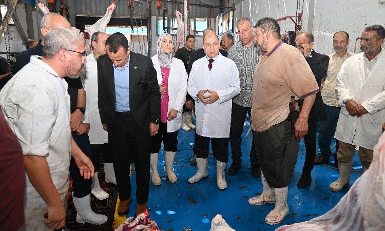 محافظ الغربية يعلن الذبح المجاني بالمجاز الحكومية طوال أيام عيد الأضحى