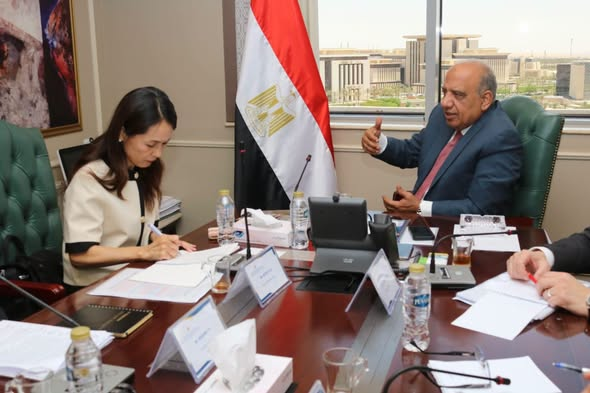 وزير الكهرباء