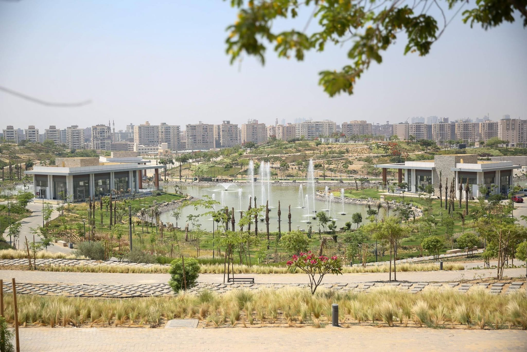 الفسطاط
