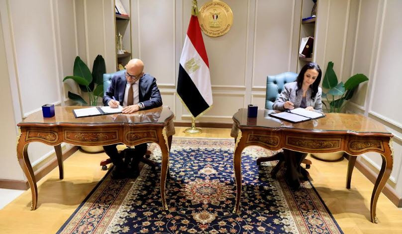 التضامن