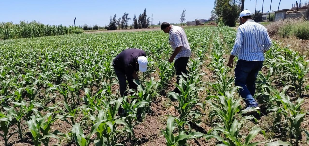 الإدارة المركزية للمكافحة ووقاية النبات