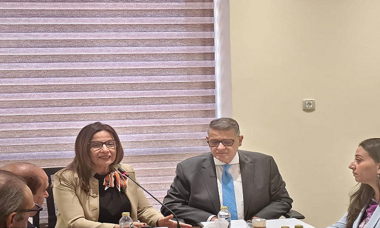 وزيرة الثقافة بمجلس النواب