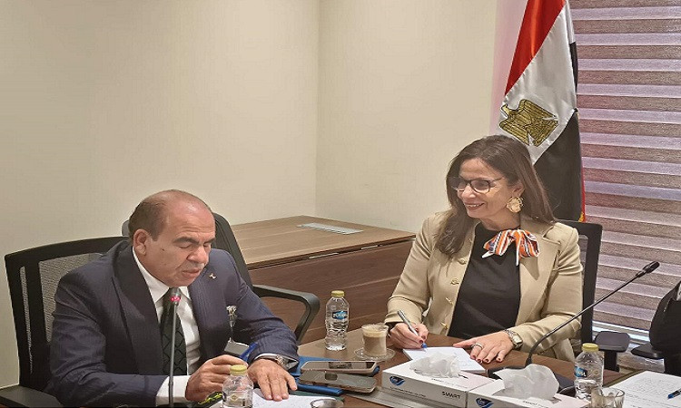 وزيرة الثقافة بمجلس النواب