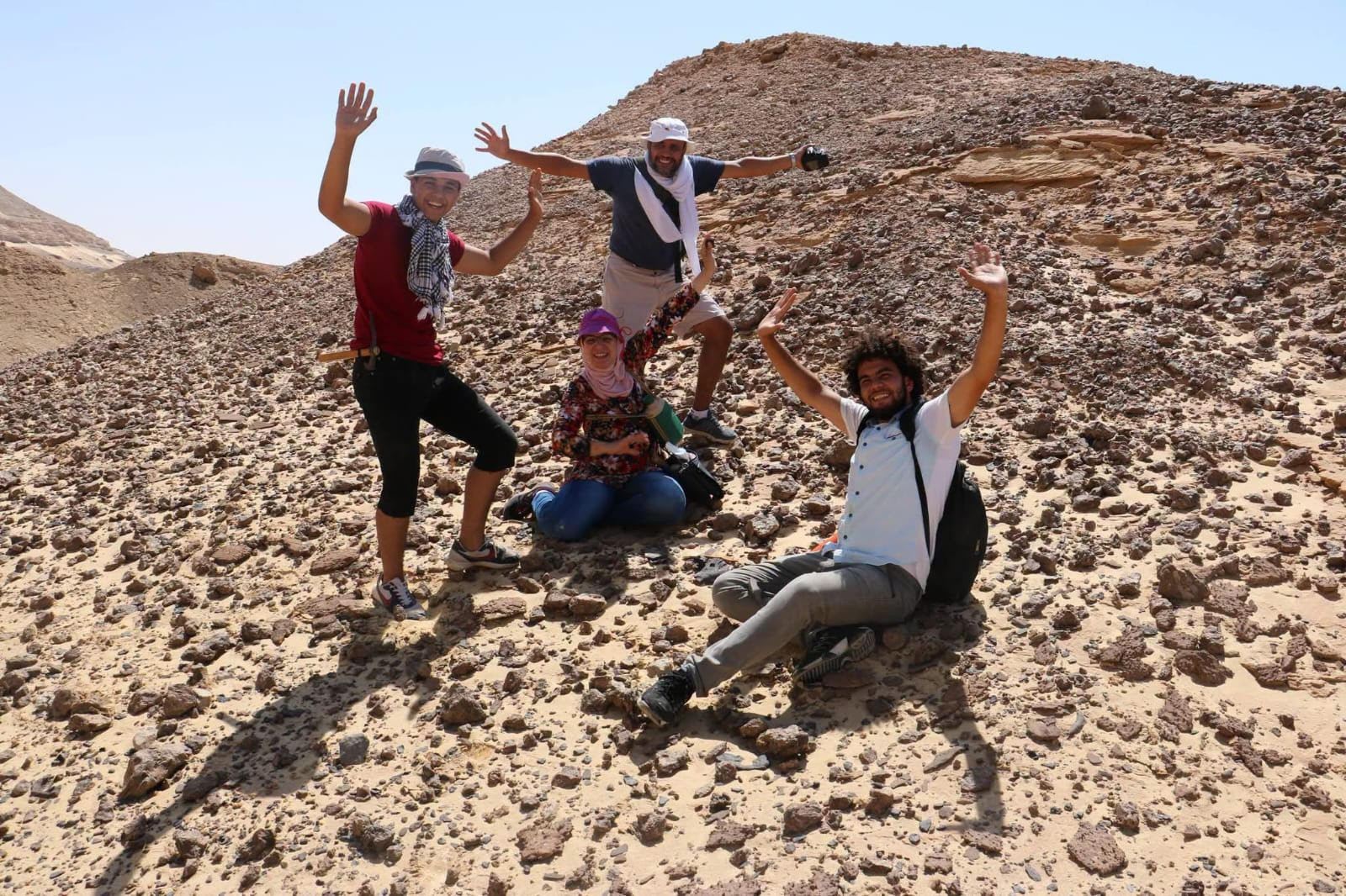 الزواحف الطائرة في مصر