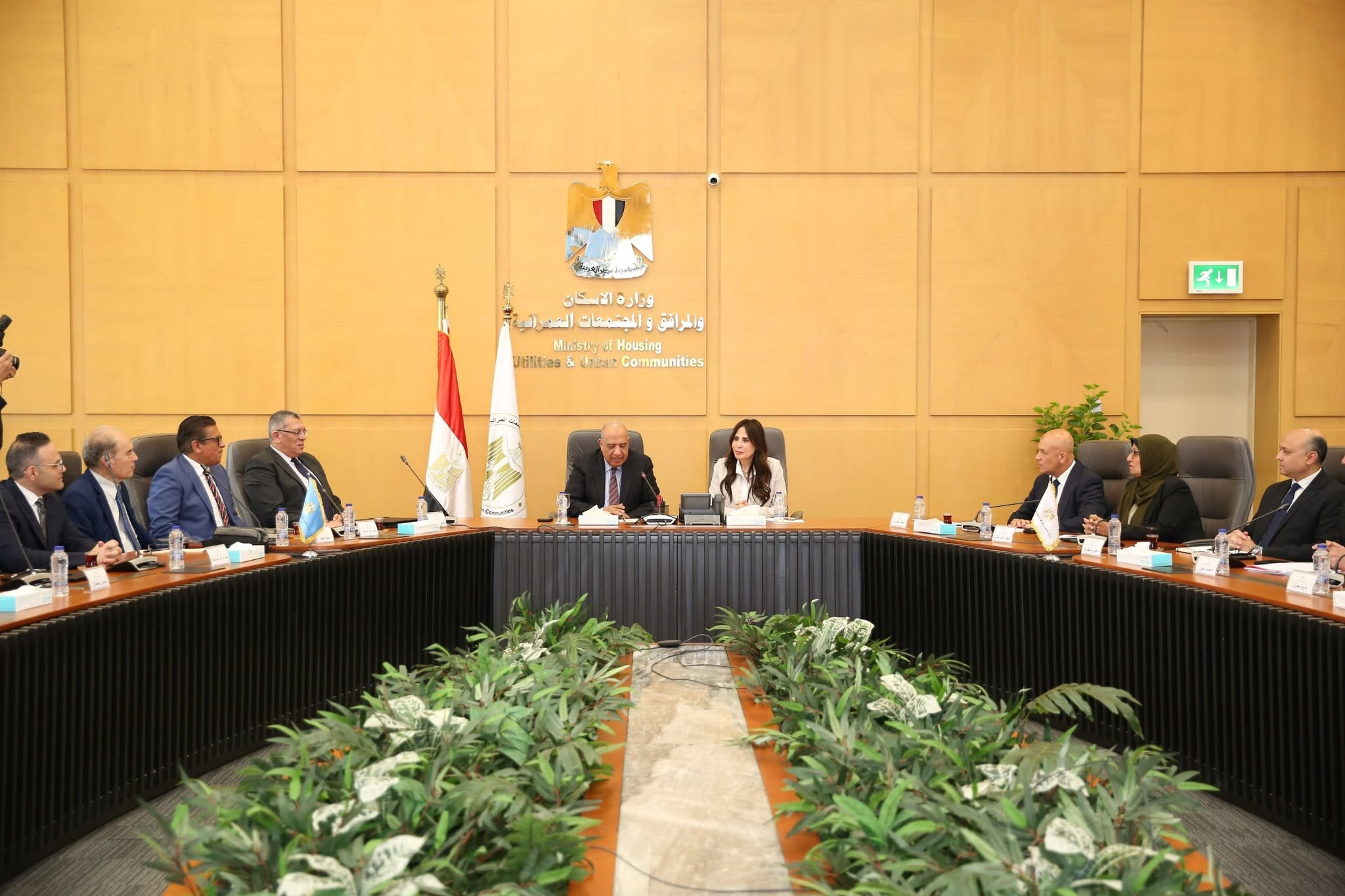 الاسكان