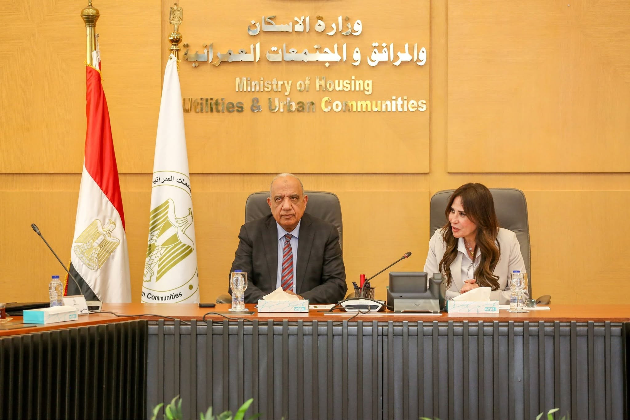الاسكان