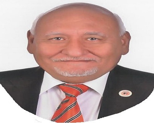 المؤرخ العسكري أحمد عطية الله
