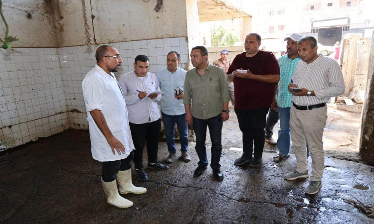 محافظ المنوفية يتفقد مركز الخدمات البريدية ومجزر تلا