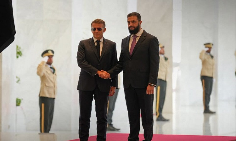 لقاء