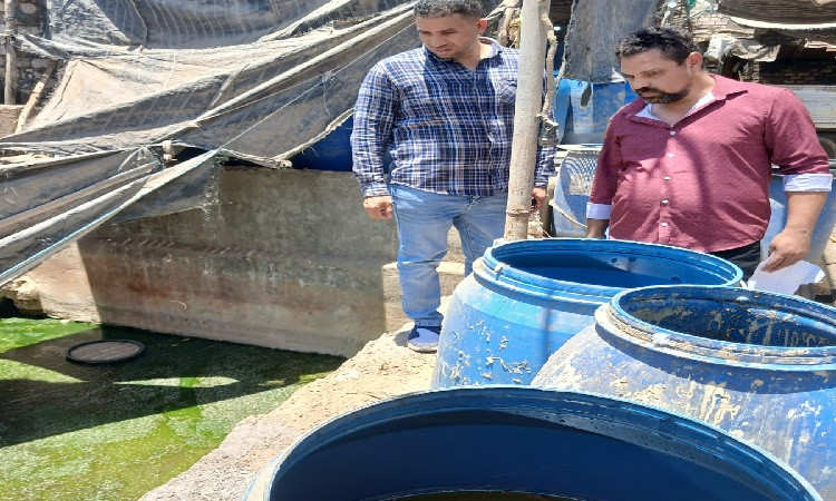 محافظ الجيزة