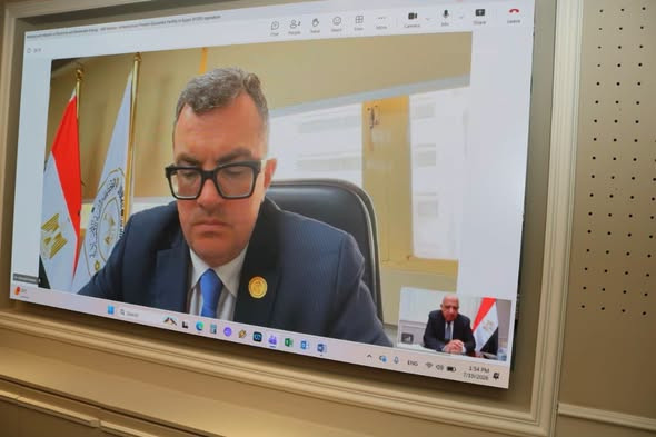 وزير الكهرباء