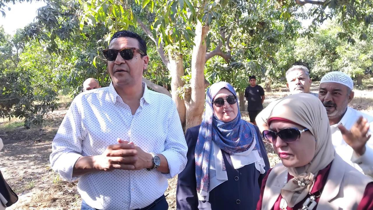 الزراعة