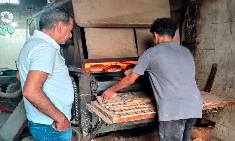 تموين الاسماعيلية