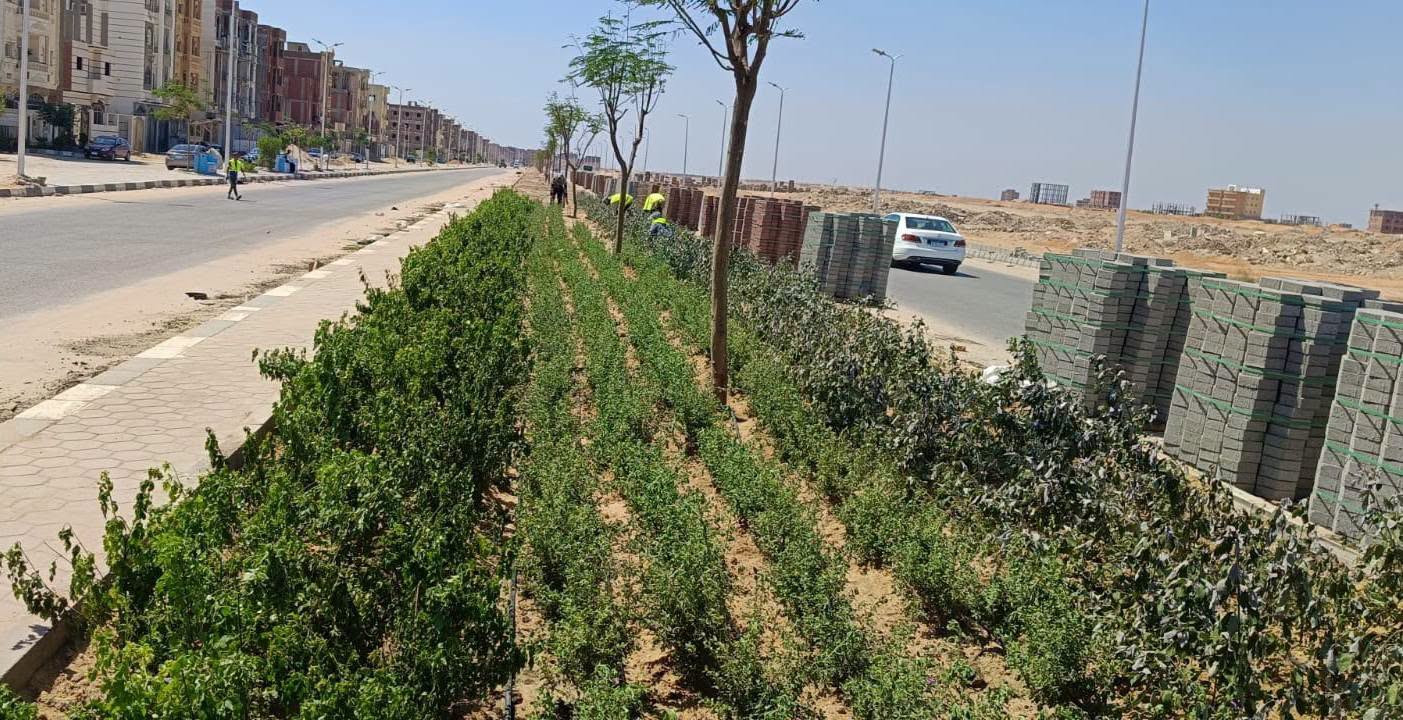 العاشر من رمضان