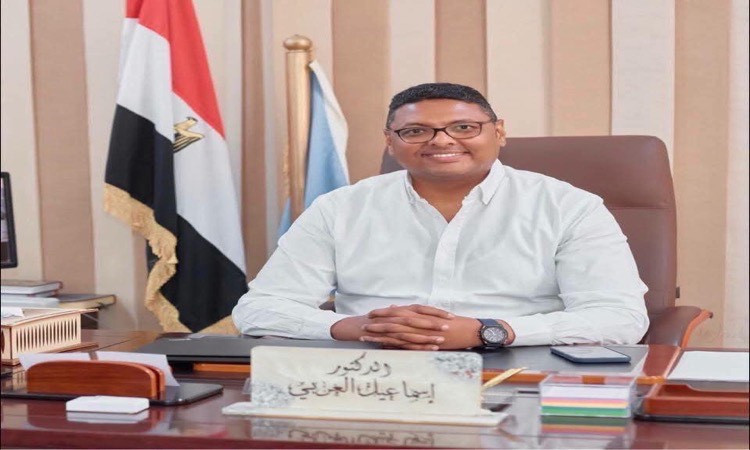 البرقي:إتاحة عقار