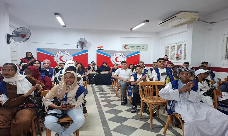 المجلس القومي للطفولة والأمومة