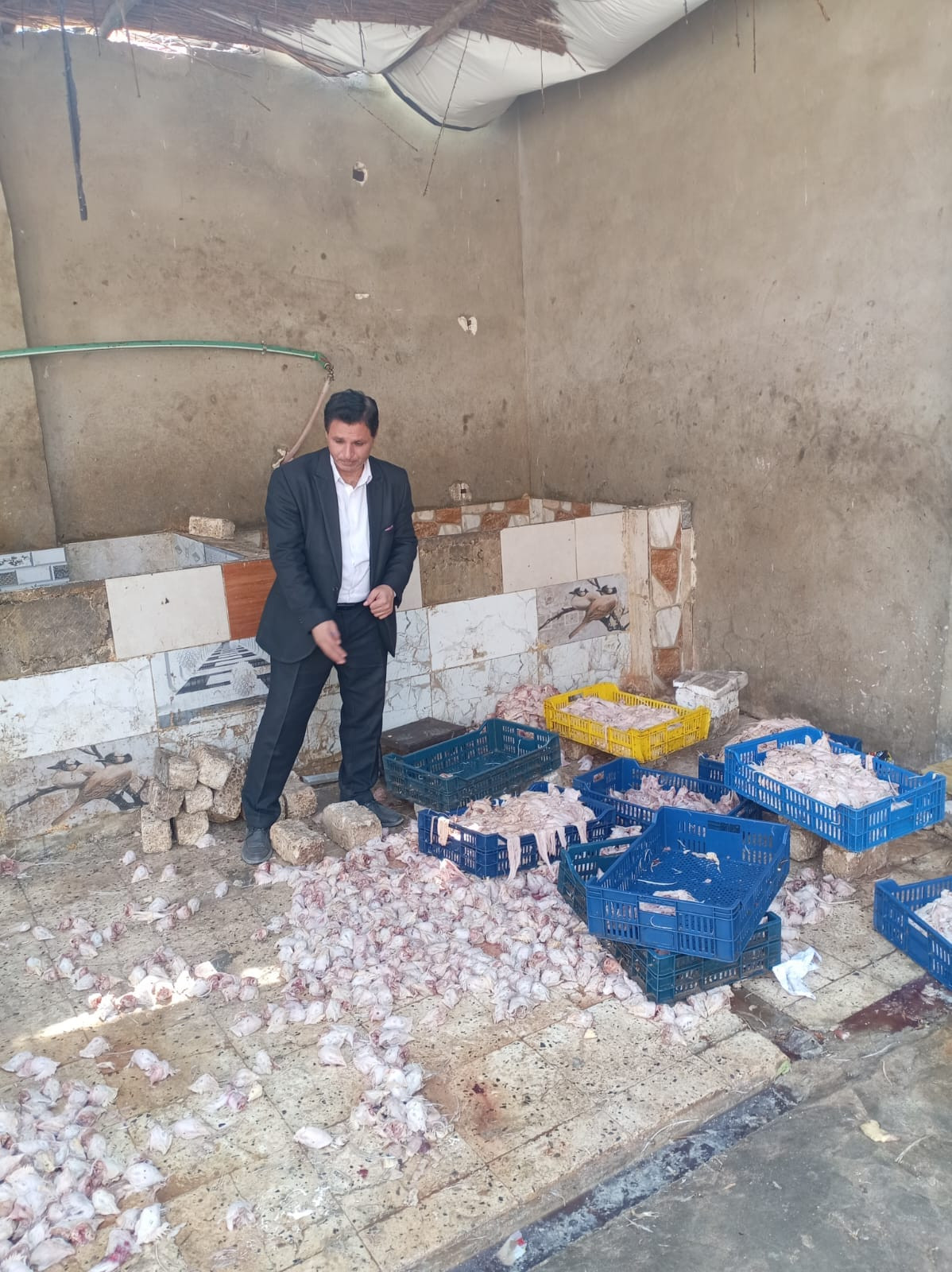 حماية المستهلك