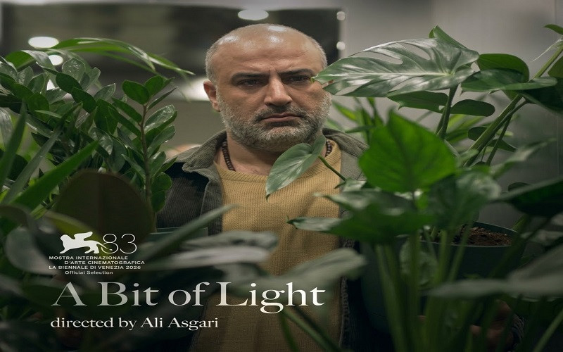 بصيصًا من النور والحارس: السينما الإيرانية في مهرجان فينيسيا 2026