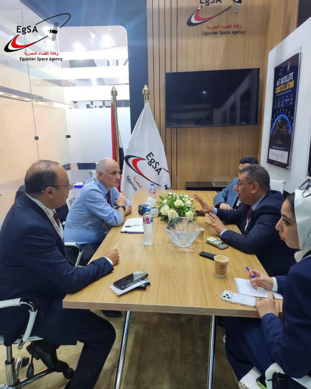 وكالة الفضاء المصرية