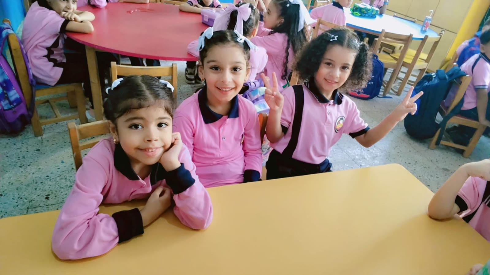 انتظام الدراسة